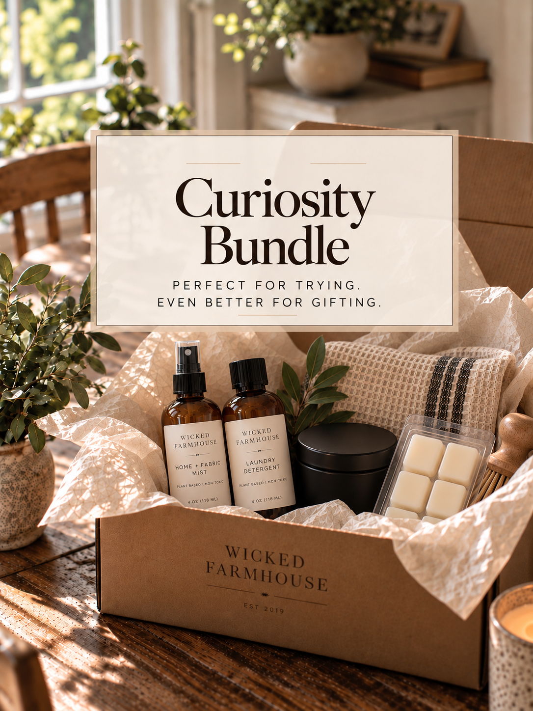 Curiosity Bundle